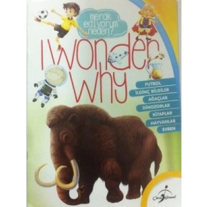 Merak Ediyorum Neden ?