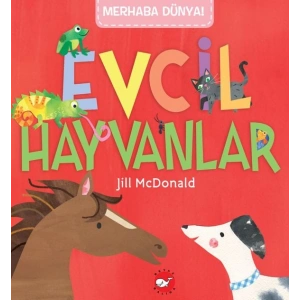 Merhaba Dünya! Evcil  Hayvanlar