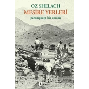 Mesire Yerleri: Paramparça Bir Roman