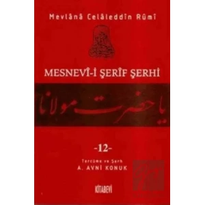 Mesnevi-i Şerif Şerhi Cilt: 12