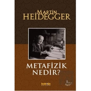 Metafizik Nedir?