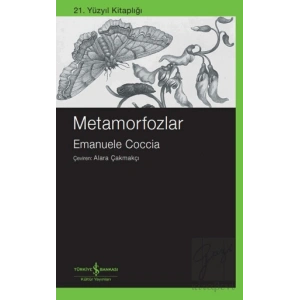 Metamorfozlar