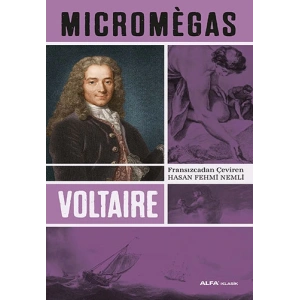 Micromegas