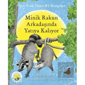 Minik Rakun Arkadaşında Yatıya Kalıyor