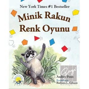 Minik Rakun Renk Oyunu