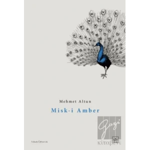 Misk-i Amber