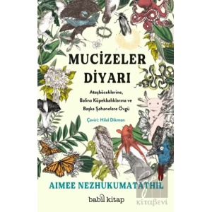 Mucizeler Diyarı: Ateşböceklerine, Balina Köpekbalıklarına ve Başka Şahanelere Övgü