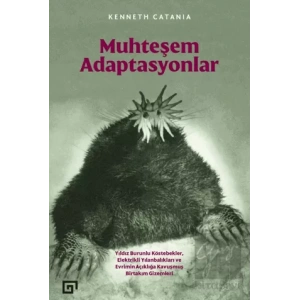 Muhteşem Adaptasyonlar