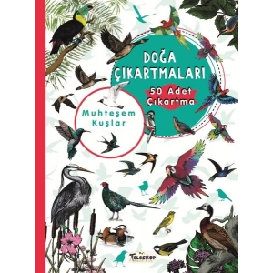 Muhteşem Kuşlar - Doğa Çıkartmaları