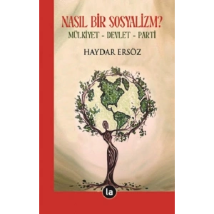 Nasıl Bir Sosyalizm?
