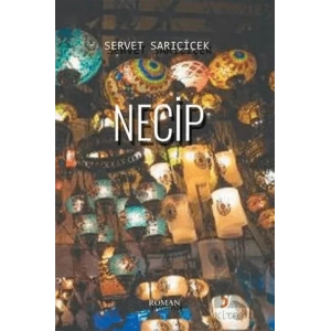 Necip