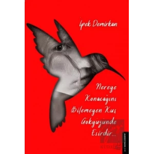 Nereye Konacağını Bilmeyen Kuş Gökyüzünde Esirdir