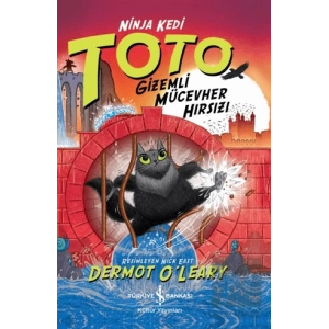 Ninja Kedi Toto - Gizemli Mücevher Hırsızı