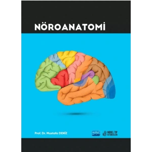 Nöroanatomi