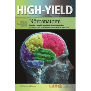 Nöroanatomi Hıgh Yıeld