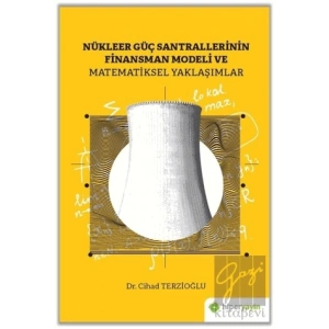 Nükleer Güç Santrallerinin Finansman Modeli ve Matematiksel Yaklaşımlar