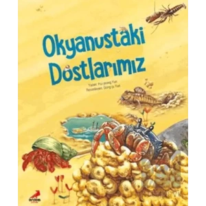 Okyanustaki Dostlarımız