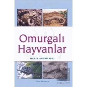 Omurgalı Hayvanlar