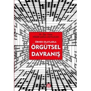 Örnek Olaylarla Örgütsel Davranış