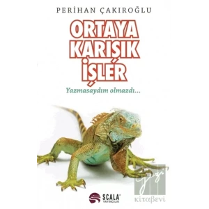 Ortaya Karışık İşler