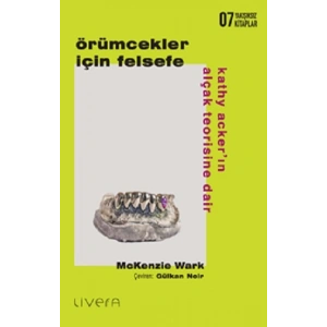 Örümcekler İçin Felsefe: Kathy Acker’ın Alçak Teorisine Dair