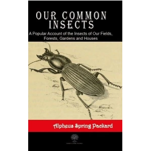 Our Common Insects