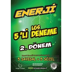 Palme 8. Sınıf Enerji LGS 2. Dönem 5li Deneme