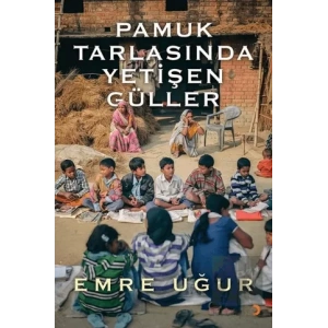 Pamuk Tarlasında Yetişen Güller