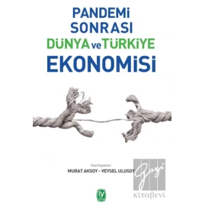Pandemi Sonrası Dünya ve Türkiye Ekonomisi