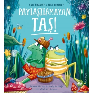 Paylaşılamayan Taş