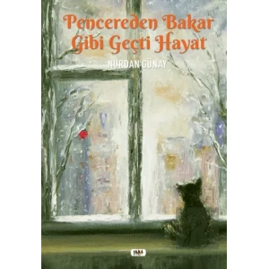 Pencereden Bakar Gibi Geçti Hayat