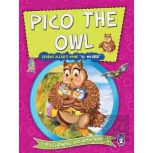 Pico the Owl Learns Allahs Name Al Mujeeb