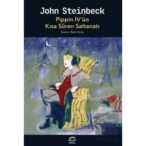 Pippin IV’ün Kısa Süren Saltanatı