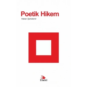 Poetik Hikem (Eleştiri)