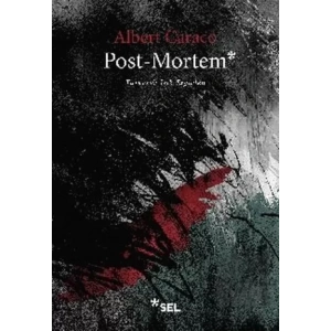 Post-Mortem