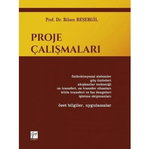 Proje Çalışmaları - Prof. Dr. Bilsen Beşergil