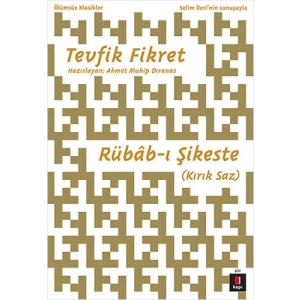 Rübâb-ı Şikeste