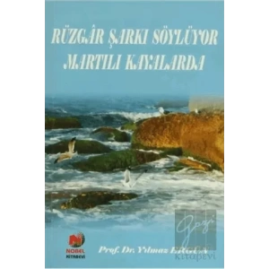 Rüzgar Şarkı Söylüyor Martılı Kayalarda