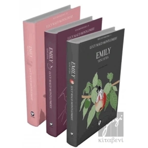 Rüzgarın Kızı Emily Serisi