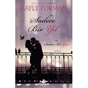 Sadece Bir Yıl ve Sadece Bir Gece