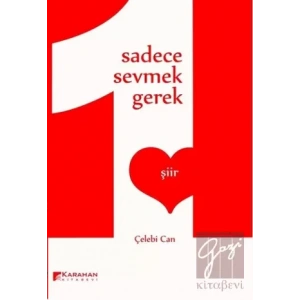 Sadece Sevmek Gerek
