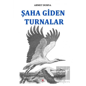 Şaha Giden Turnalar