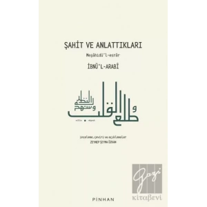 Şahit ve Anlattıkları