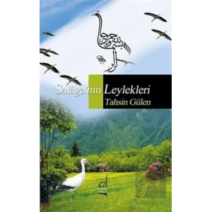 Salaganın Leylekleri