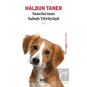 Sancho’nun Sabah Yürüyüşü