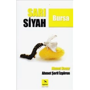 Sarı Siyah Bursa