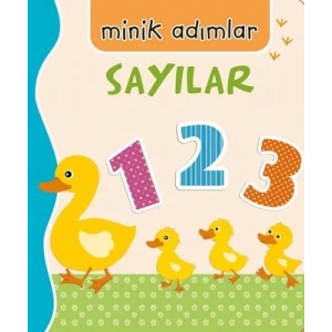 Sayılar-Minik Adımlar