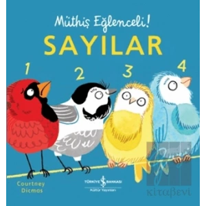Sayılar - Müthiş Eğlenceli!