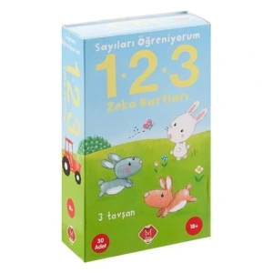 Sayıları Öğreniyorum 1 - 2 - 3