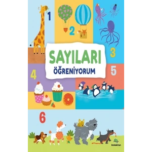 Sayıları Öğreniyorum (Ciltli)